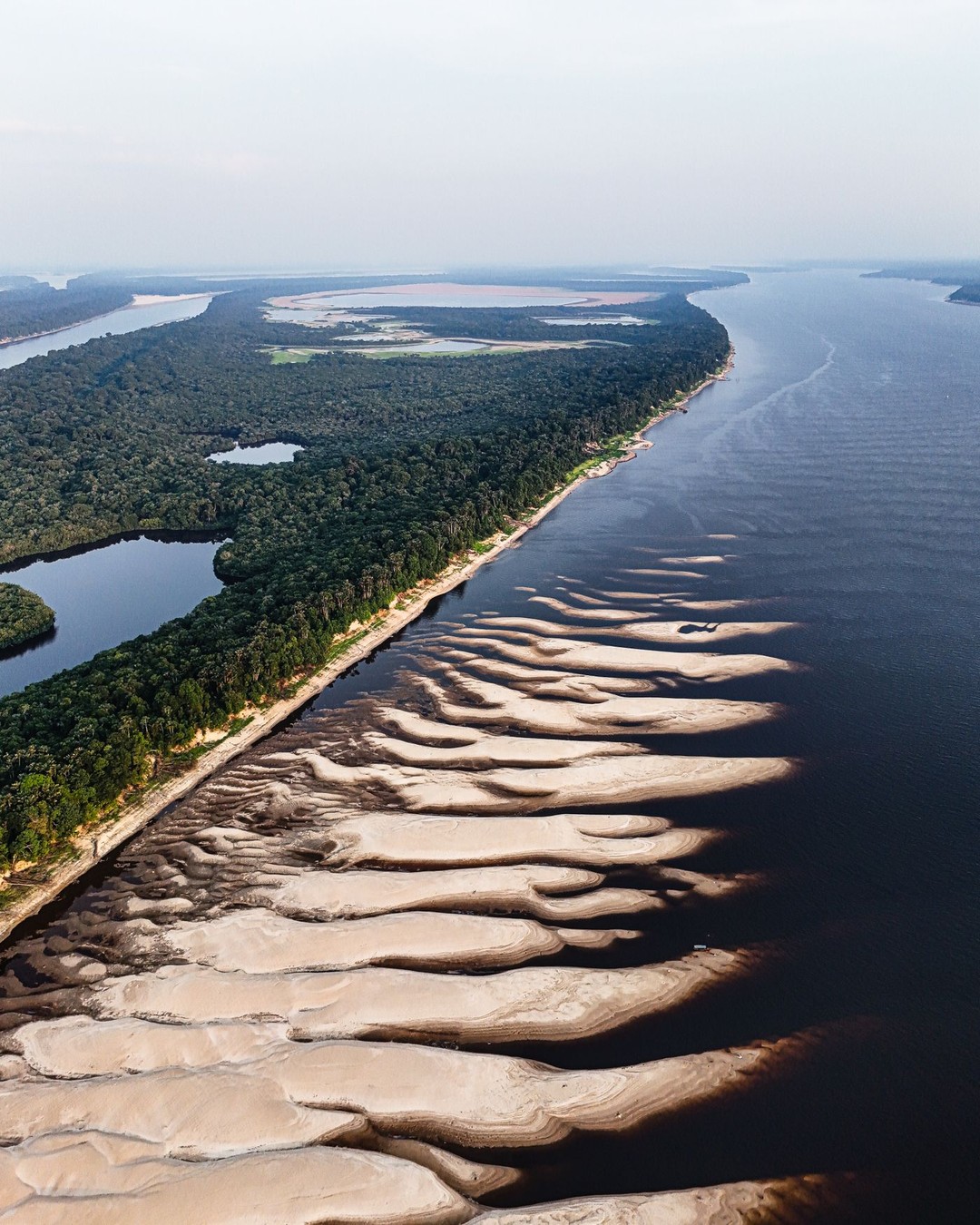 Amazonie : la déforestation au plus bas depuis 2019
