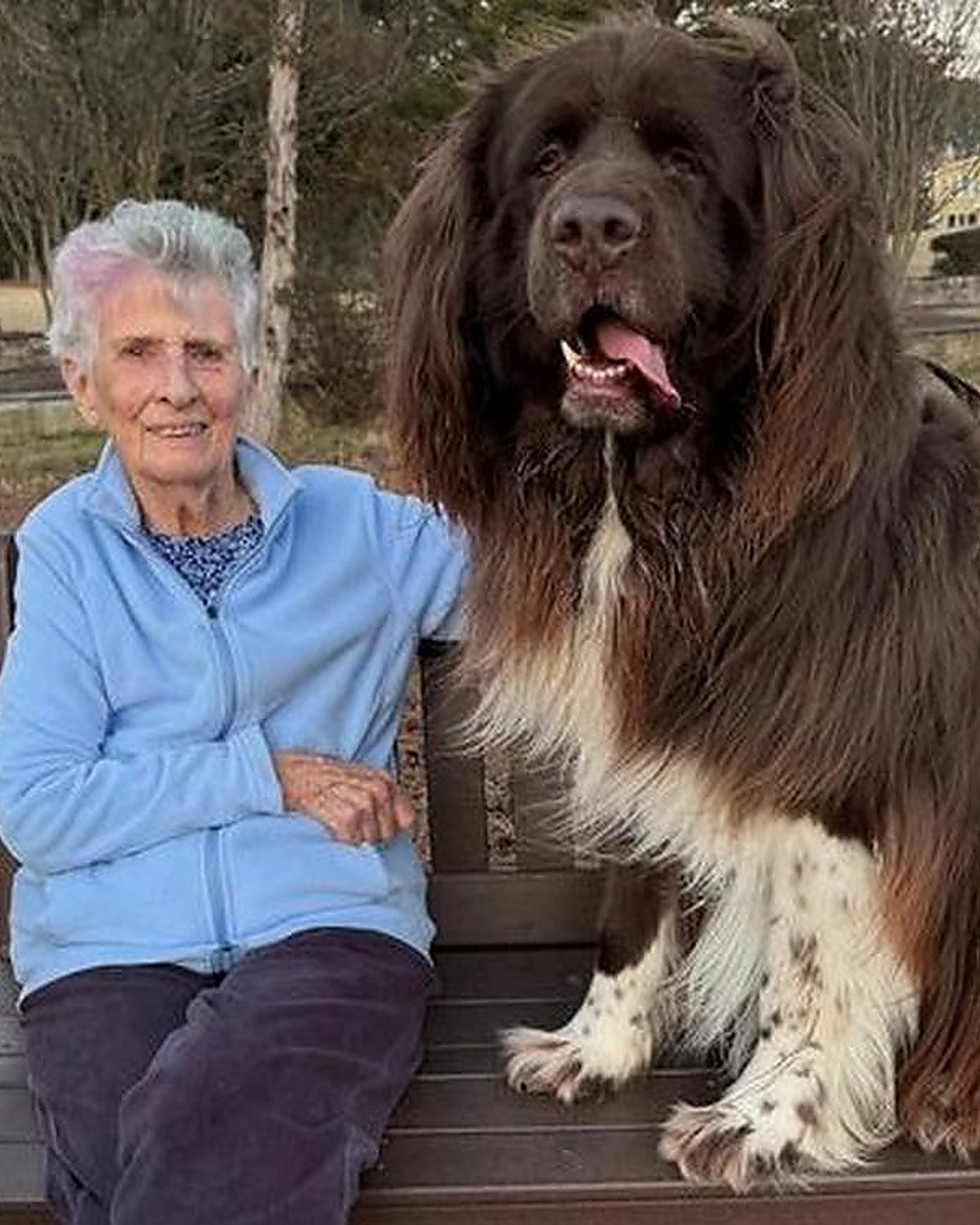 96 ans, elle ne peut plus creuser. Son chien le fait