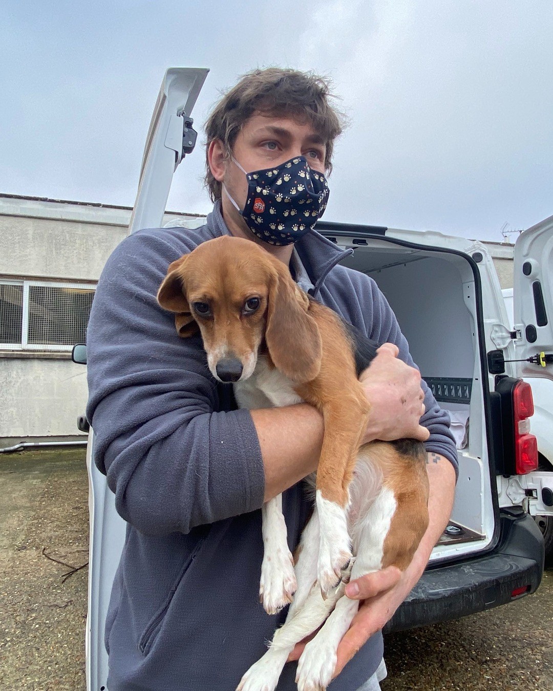 Nés en cage pour la recherche, 135 beagles vont découvrir l'herbe pour la première fois