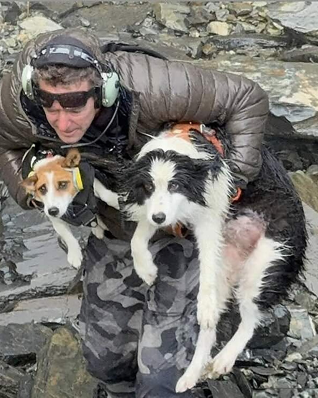 Une semaine seule dans la montagne. Molly a retrouvé sa maîtresse