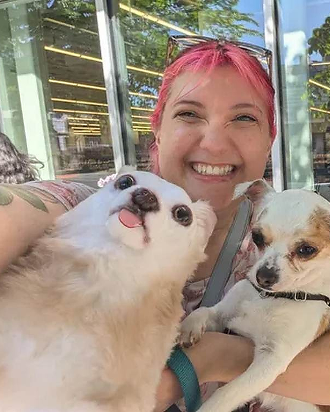 On lui a volé les cendres de sa chienne. Un SDF les a rapportées