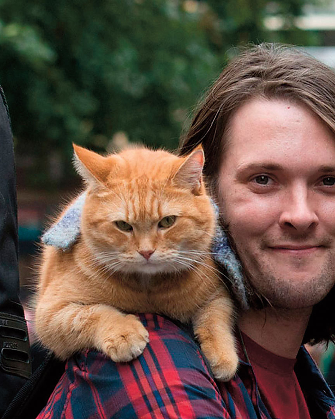 Il n'avait plus rien. Un chat roux blessé lui a rendu sa vie