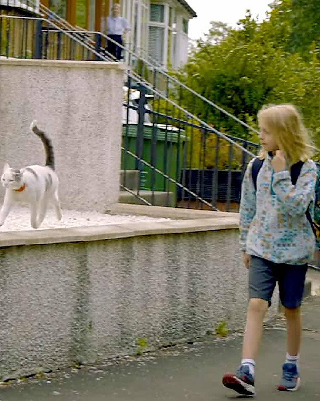 Ce chat emmène Sonny à l'école et l'attend jusqu'à la sortie