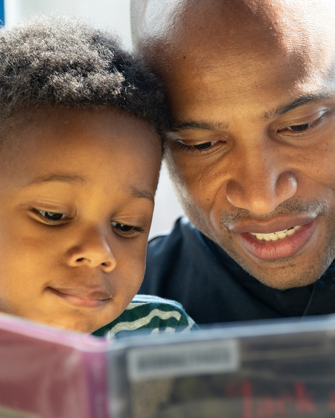 The Library Dads : 300 pères qui lisent à leurs enfants