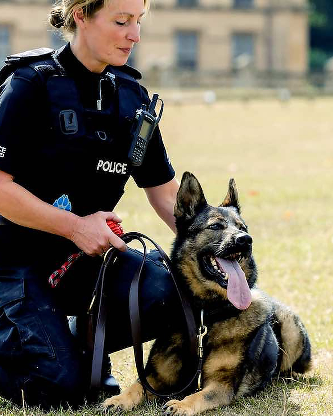 Cette chienne policière a sauvé 38 vies. Place à ses premières vacances