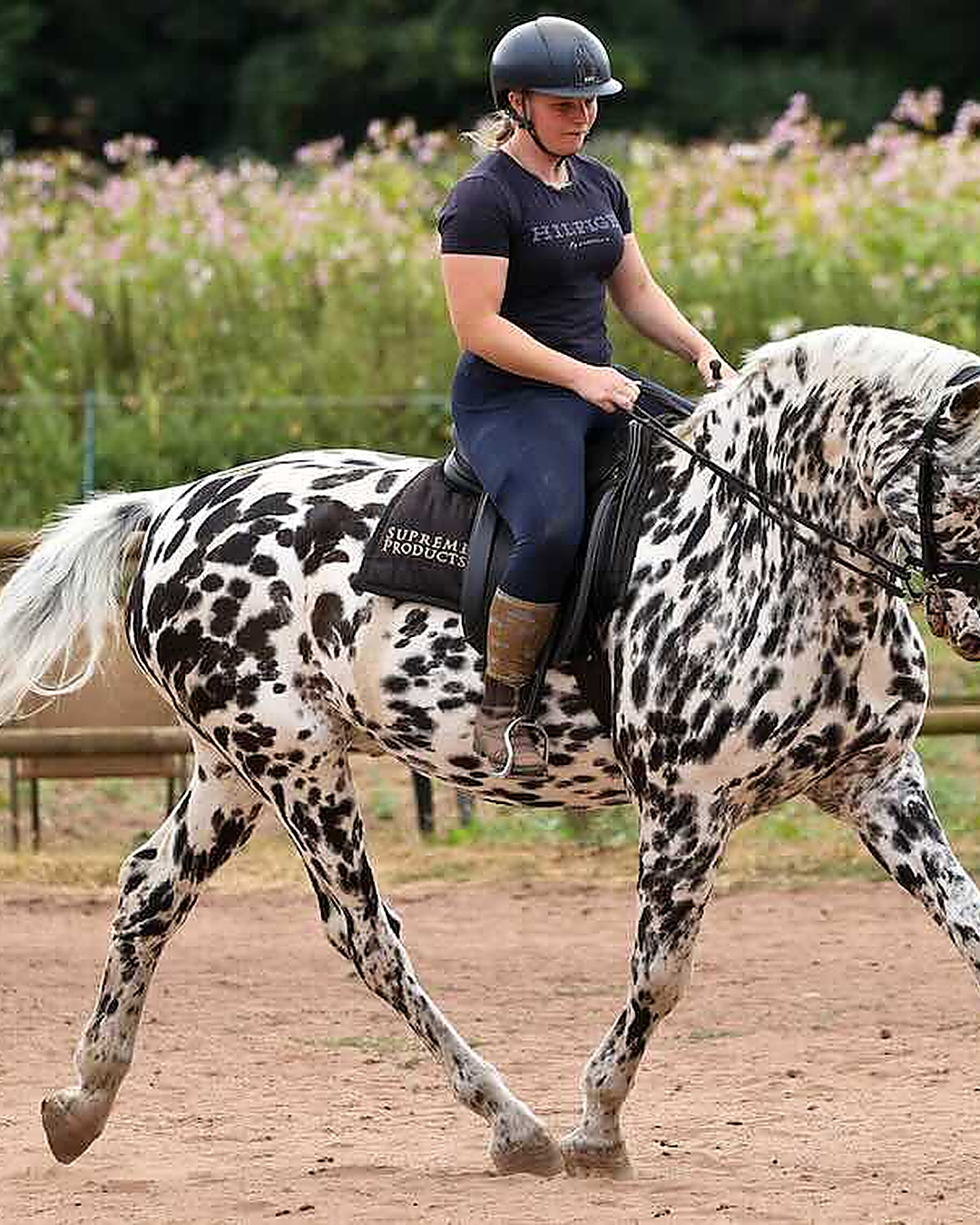 Son cheval est devenu aveugle. Ils gagnent toujours en compétition