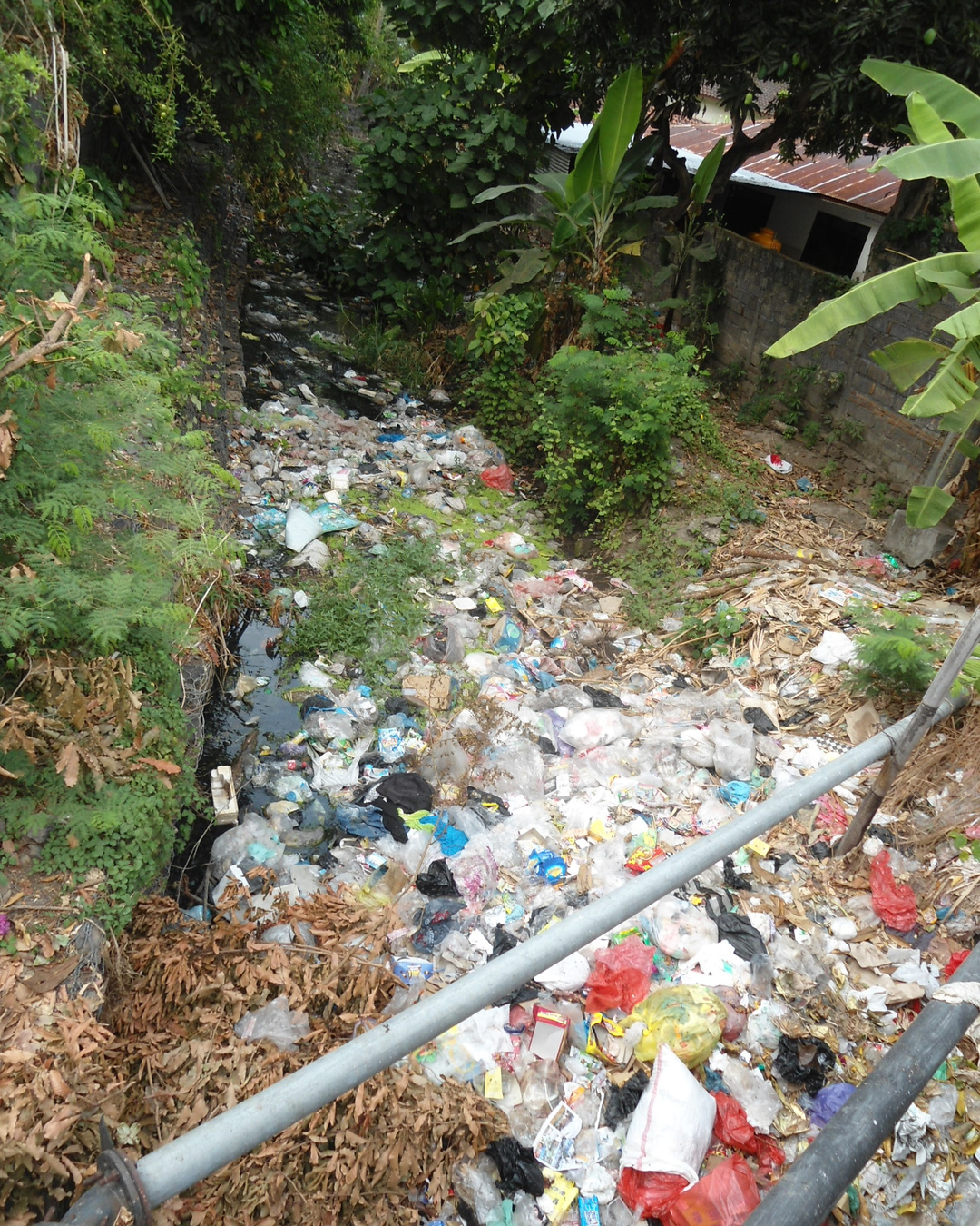 Trois frères et sœurs ont tendu des barrières en travers des rivières. 3,5 millions de kilos en sont sortis