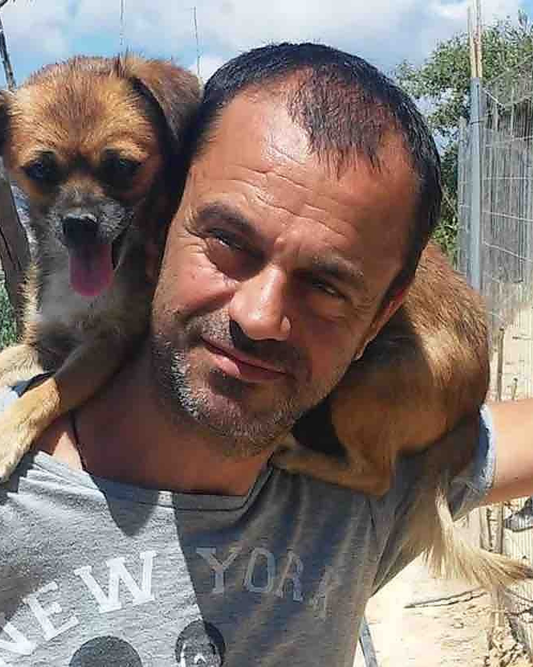 Un chien blessé dans les ordures. Depuis, plus de mille sauvés
